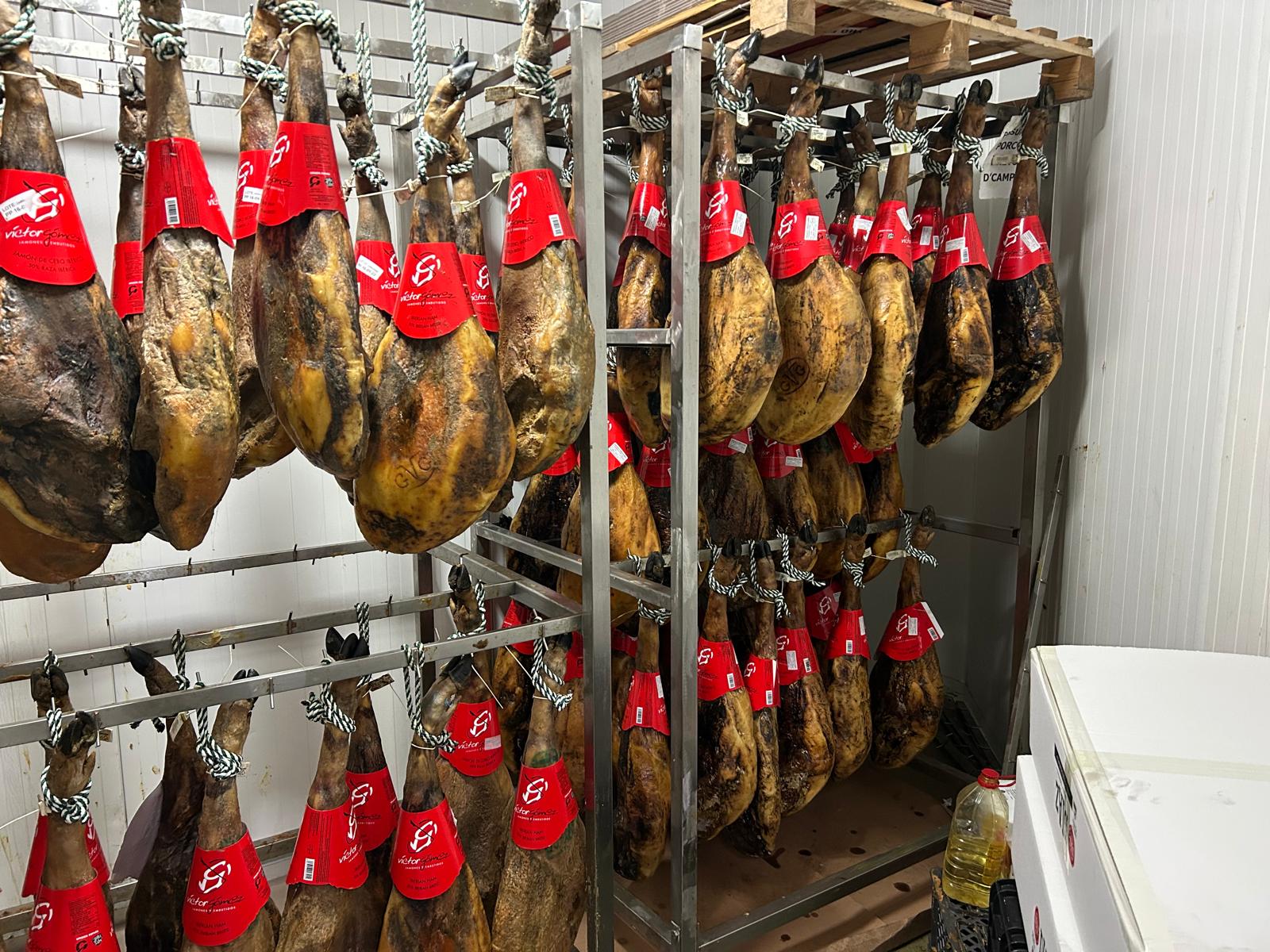 Presunto Ibérico
